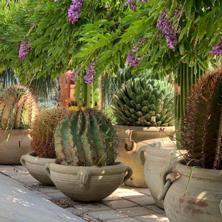 Terrazza Pavone - Appartamento con 1 Camera da Letto - 25