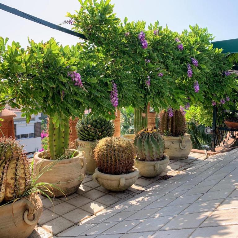 Terrazza Pavone - Appartamento con 1 Camera da Letto - 28