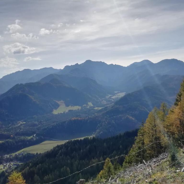 Pension Barzaunerhof - Deluxe Doppelzimmer mit Balkon - 3