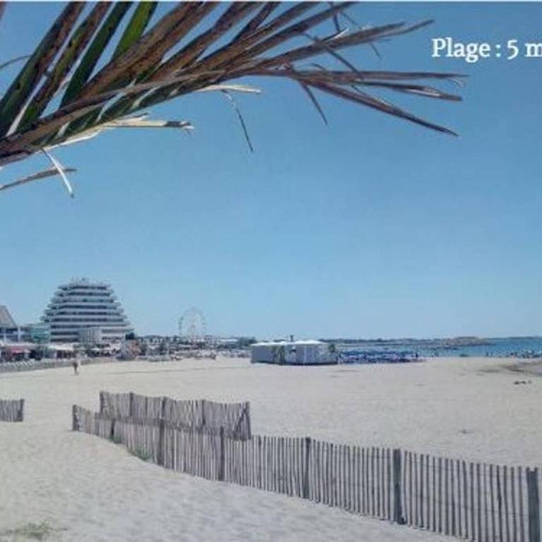 LE Dina Robin, Studio 5mn plage à pied, wi-fi, parking privé à 5 min - Standard Studio - 16