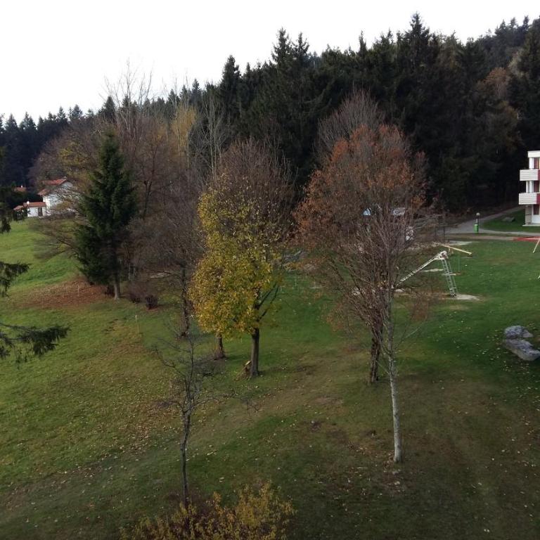 Herzerl Apartment - Appartement 1 Chambre - 23