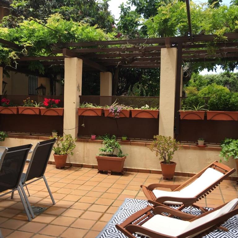 UN VERGEL AL PIE DE LA ALHAMBRA. Enjoy it now!! - Apartment with Terrace - 17