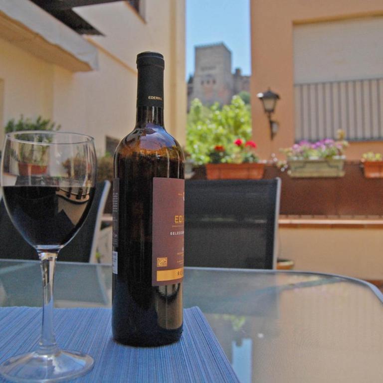 UN VERGEL AL PIE DE LA ALHAMBRA. Enjoy it now!! - Apartment with Terrace - 20