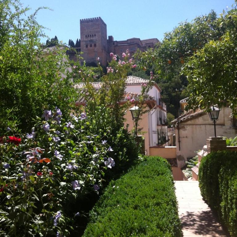UN VERGEL AL PIE DE LA ALHAMBRA. Enjoy it now!! - Apartment with Terrace - 29