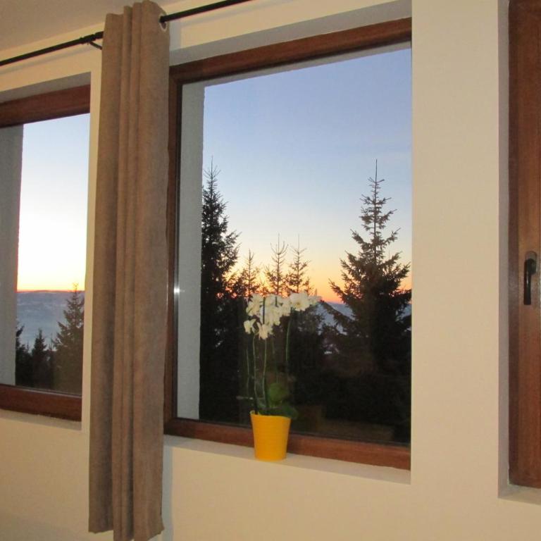 JOPA Suncani breg - One-Bedroom Apartment - 5