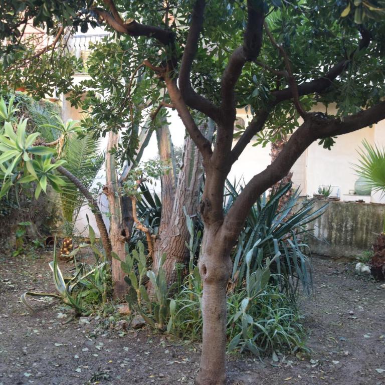 ArtRoom Garden - Monolocale con Vista Giardino - 43