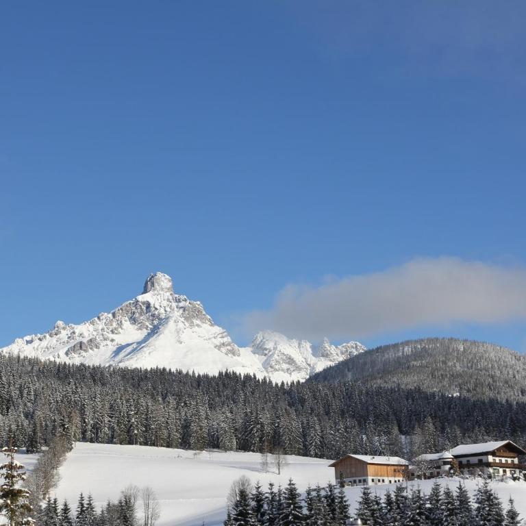 Ferienwohnung Bergblick - Two-Bedroom Apartment with Terrace - 49