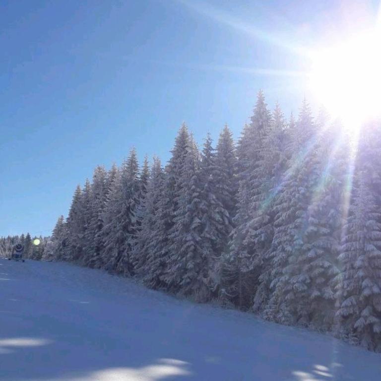 Milmari resort Sara P61 - Deluks Apartman - 33