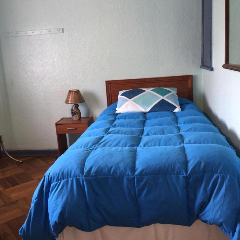 Viña Colores - Large Single Room - 3