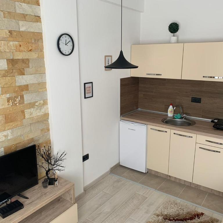 Apartmani Džanković - Studio Apartment - 7
