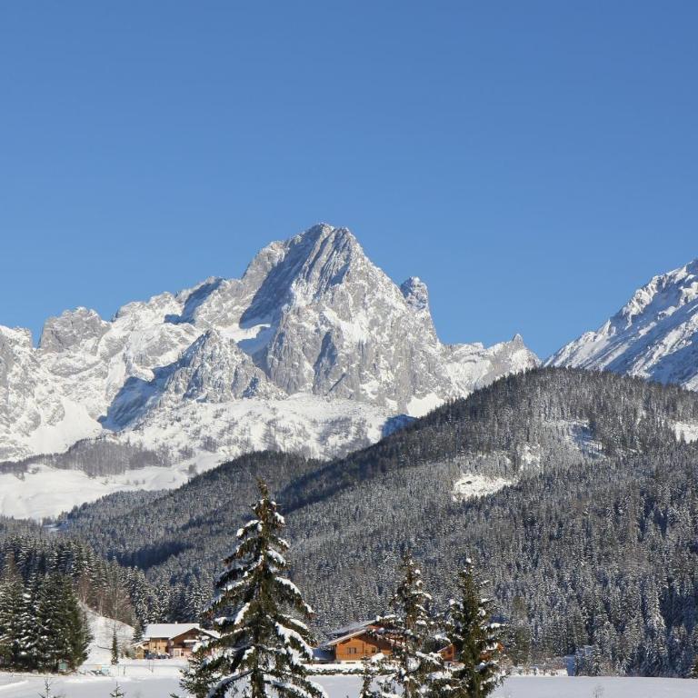 Ferienwohnung Bergblick - Two-Bedroom Apartment with Terrace - 20