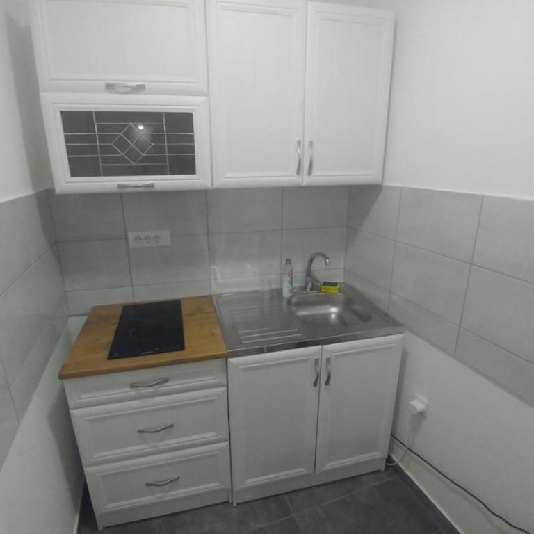 Apartman Viktor - Apartman sa 1 Spavaćom Sobom - 6
