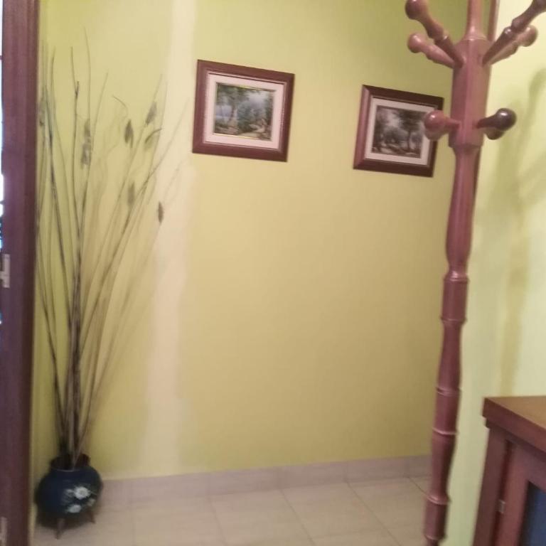 jucar carmen - Apartamento de 3 dormitorios - 27