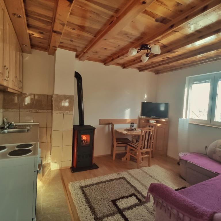 Vikendice porodice Smiljanić - Two-Bedroom Apartment - 14