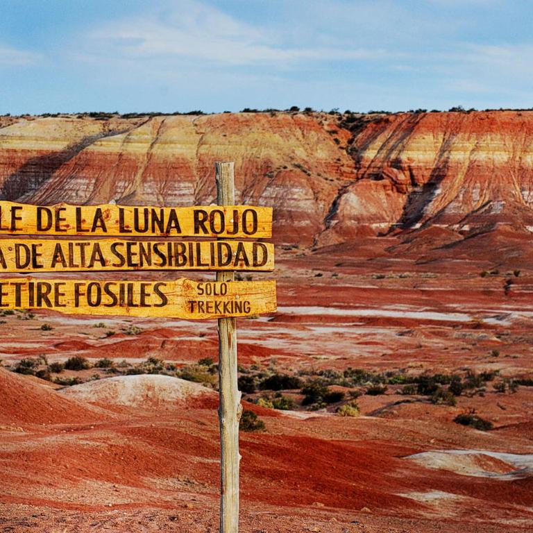 Calidez y comodidad. - One-Bedroom Apartment - 28