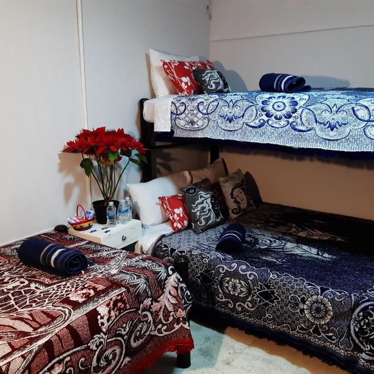 Alameda House - Standard Double Room with Shared Bathroom - 3