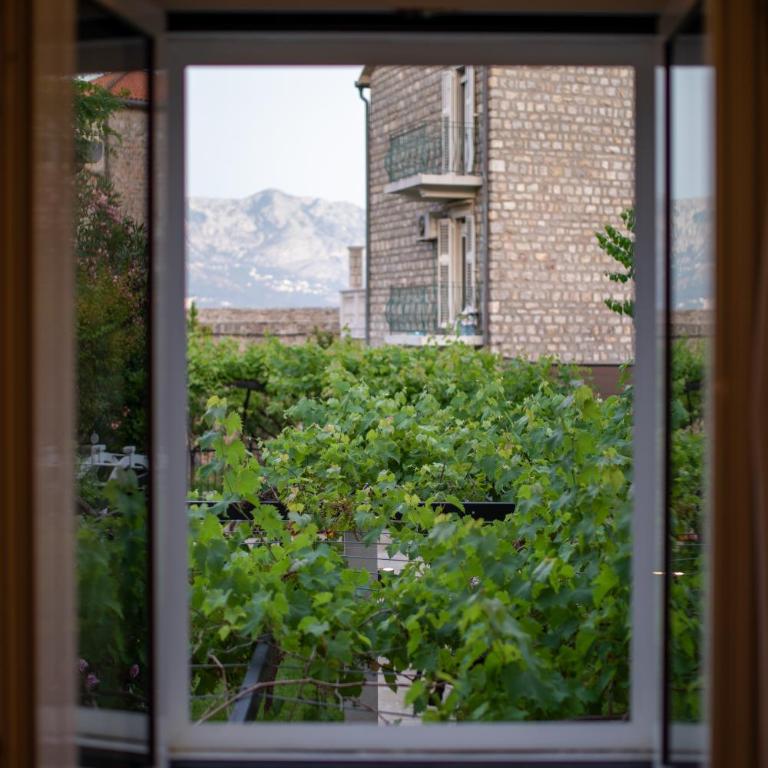 Apartments Trifunovic Old Town - Apartman sa 1 Spavaćom Sobom - 14