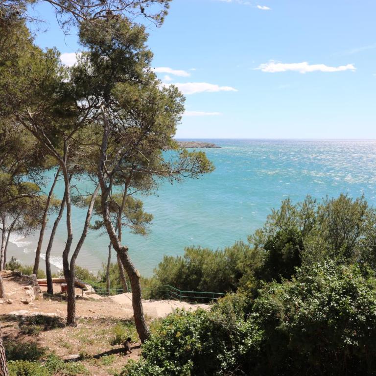SalouTrip - Navili - Two-Bedroom Apartment - 37