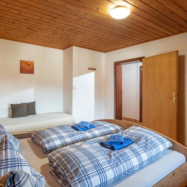 Talhammerhof - Three-Bedroom Apartment with Balcony - 7