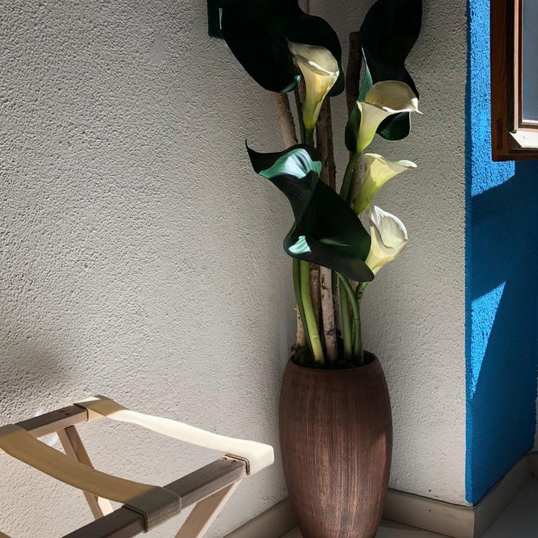 La Polena Camere Vernazza - Visconti Apartment - Studio-Apartment - 14