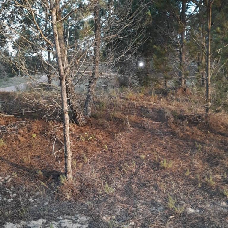 La Maison De Valerie - One-Bedroom House - 47