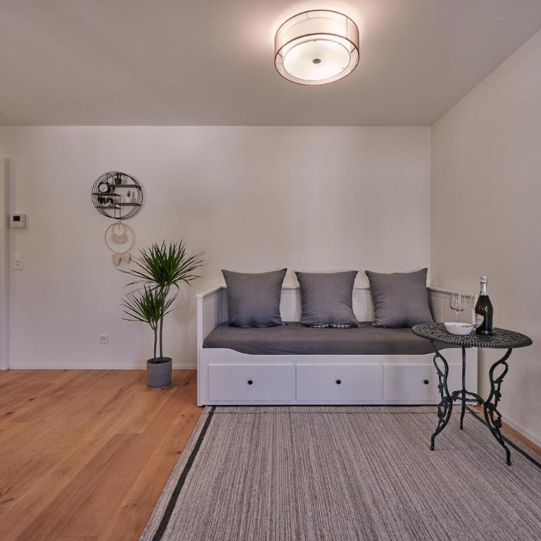 City Center Apartment with Mountain View - Apartamento de 1 dormitorio - 3