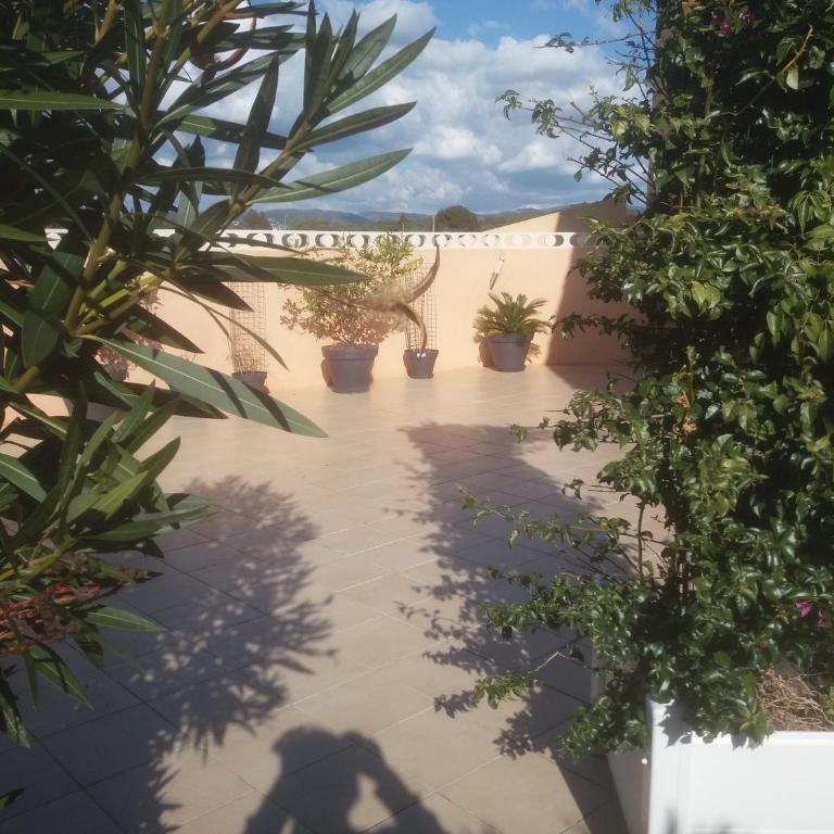 le gardénia - Apartment - Ground Floor - 4