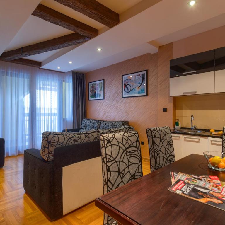 Vila Barović and Spa - Superior Apartman sa 1 Spavaćom Sobom - 6