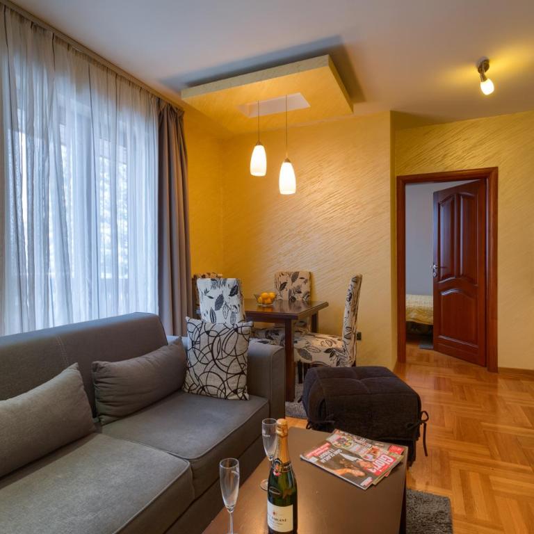 Vila Barović and Spa - Apartman sa 1 Spavaćom Sobom - 9