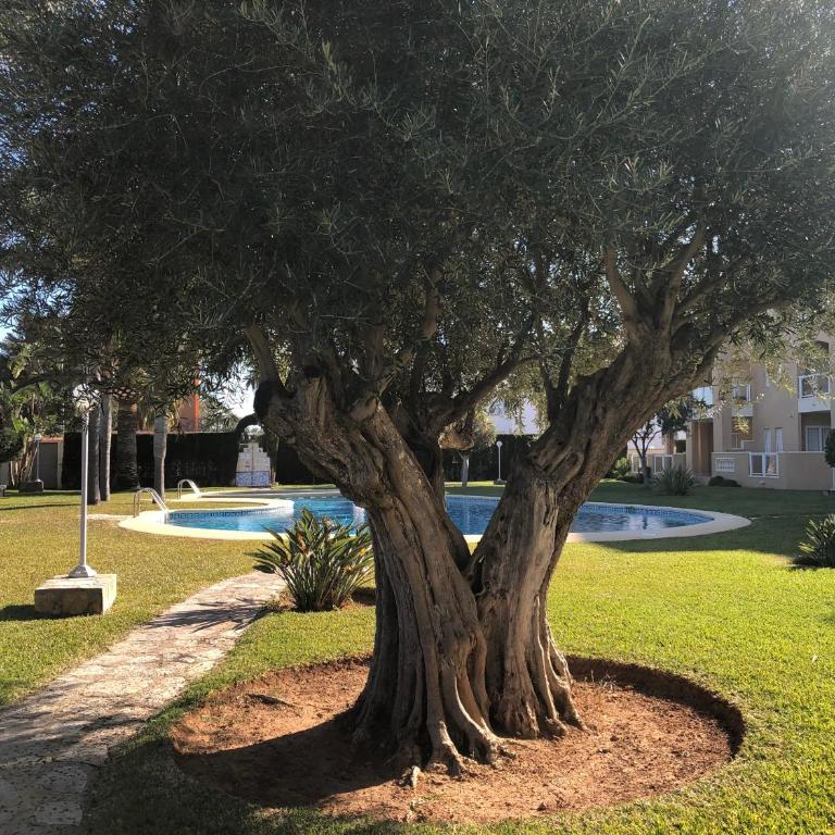 Hort 2-Serviden - Apartment mit 2 Schlafzimmern - 11