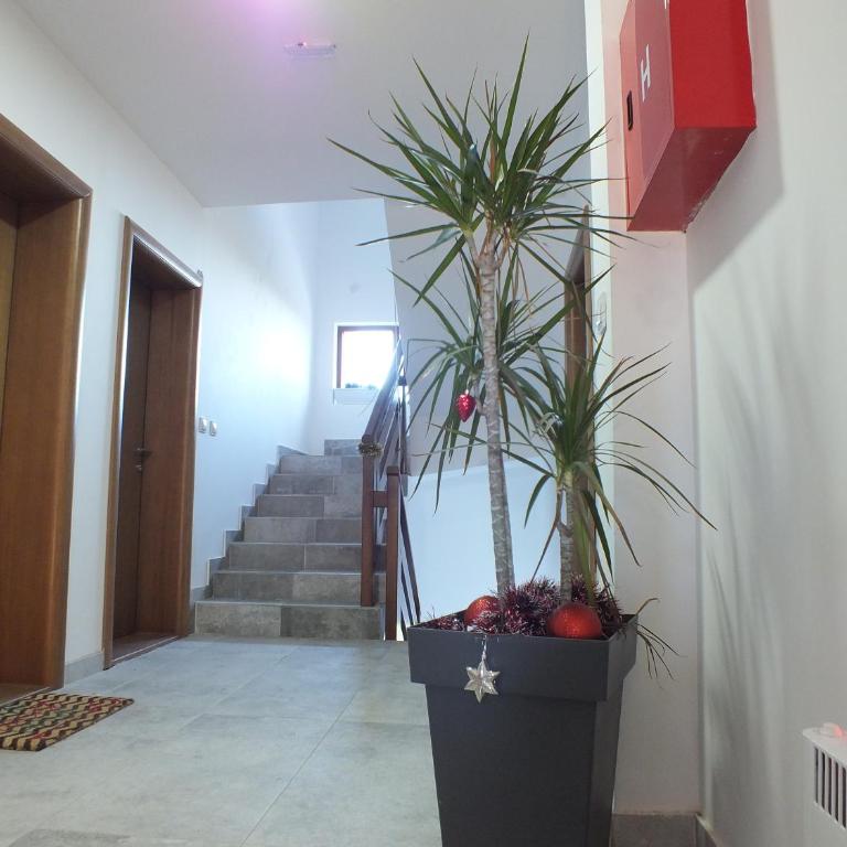 SUNCANI BREG - STUDIO 11 - Apartment - 63