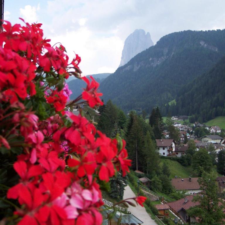 Villa Hubertus - Appartamento con 1 Camera da Letto - 2