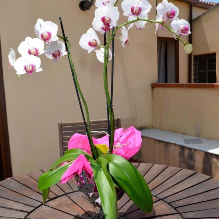 Cassisi Hotel - Junior Suite con Terrazza - 3