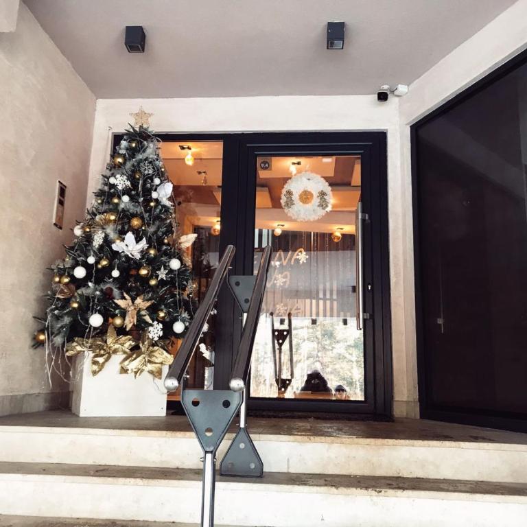 Vila Pekovic Apartman P8 - One-Bedroom Apartment - 3