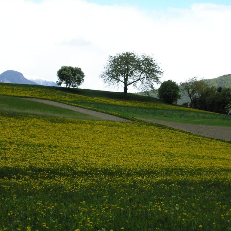 Zangerlechnhof - Appartamento con 2 Camere da Letto - 3