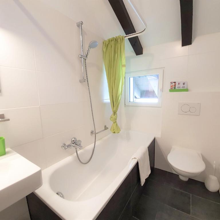 Ferienwohnungen Wallis - Randa bei Zermatt - Comfort Apartment mit 1 Schlafzimmer - 2