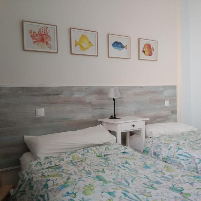 calandria las palmas - Apartamento - 14