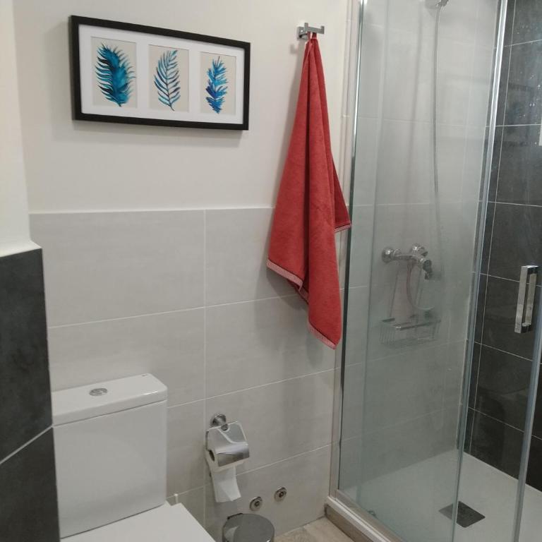 calandria las palmas - Apartamento - 13