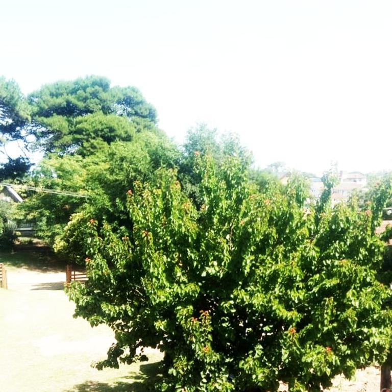 Garden House, Gesell - Two-Bedroom Apartment - 30