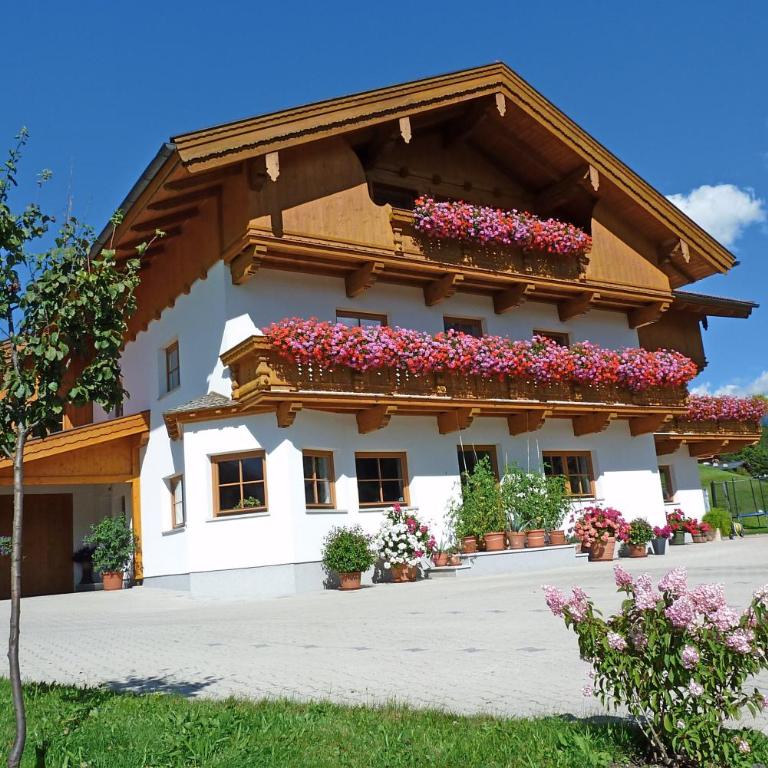 Tratlhof - Superior Apartment mit 1 Schlafzimmer und Balkon - 1
