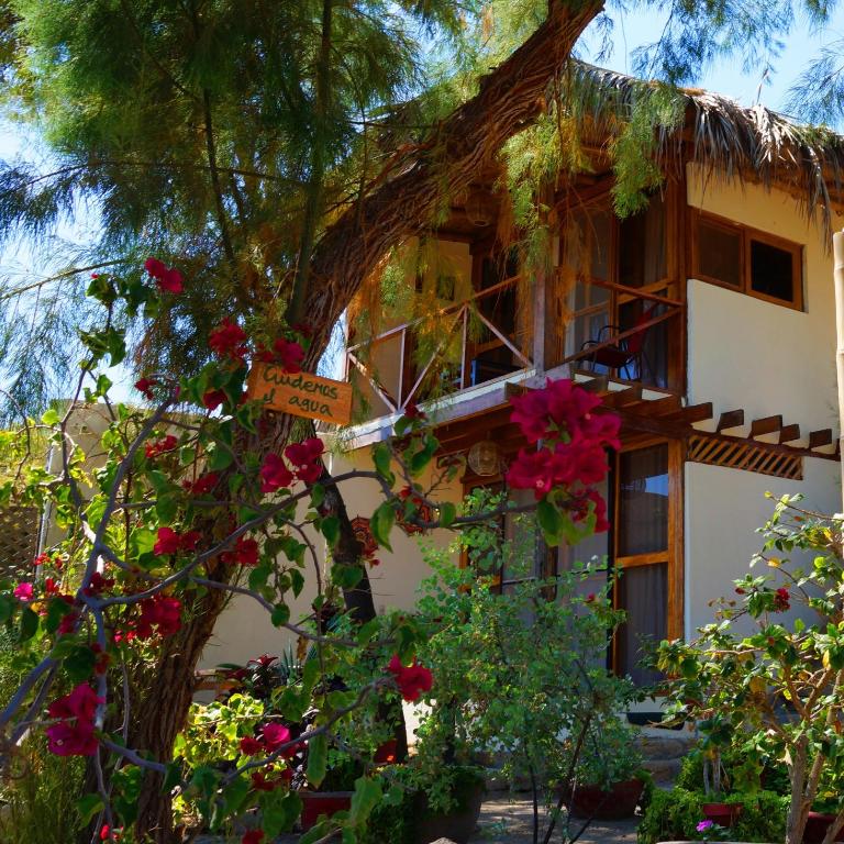 Muelle Viejo Bungalows - Quadruple Room - 1