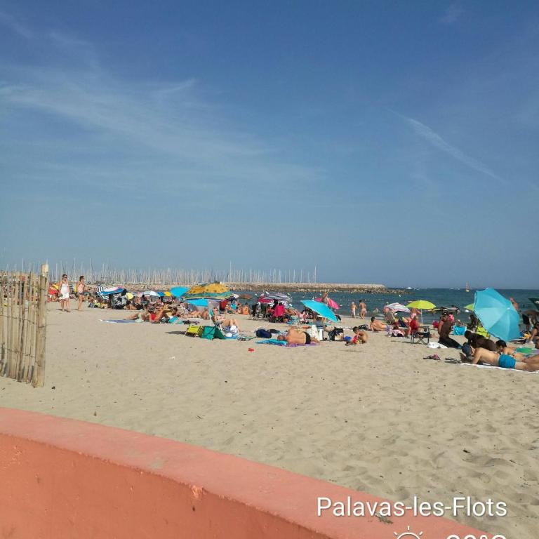 Le Moussaillon - F2 à 20 m de la plage - Appartement 1 Chambre - 24