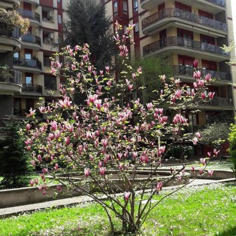 Danae Home - Appartamento Standard - 3