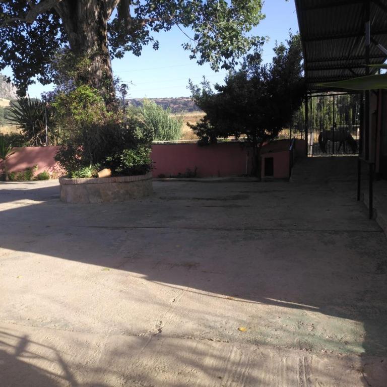 Casa Rural Las Palmeras - Casa - 35