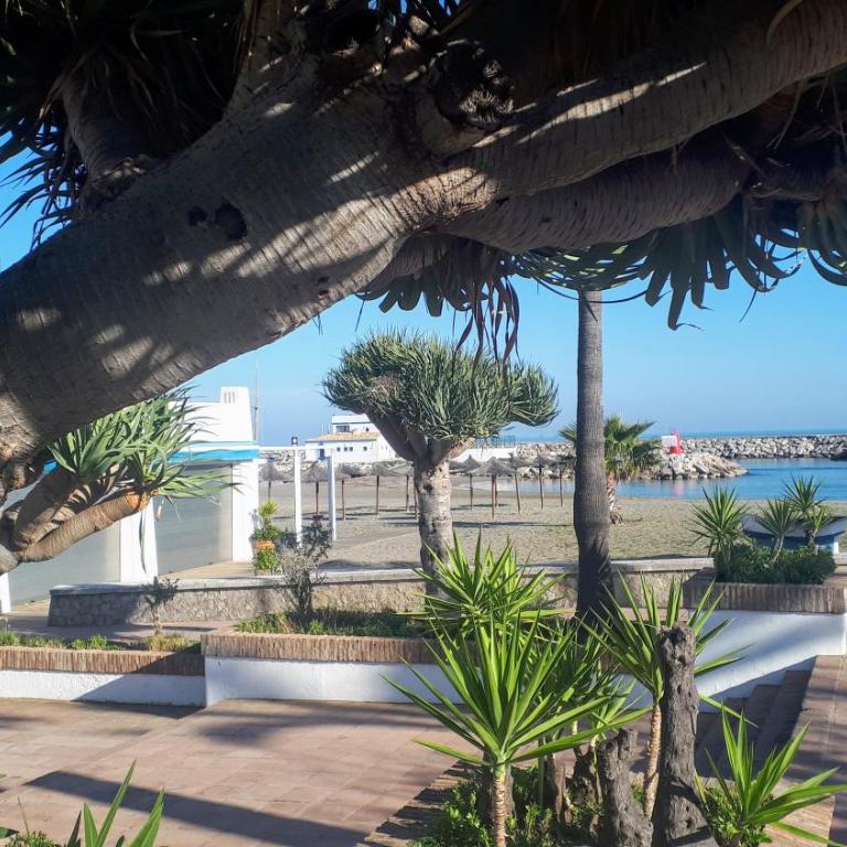 Apartamento 409 Marina Real Puerto de la Duquesa playa - Apartamento - 40