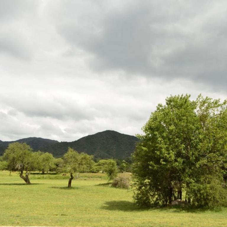 Los Cóndores Aparts. - Apartamento con vistas a las montañas - 51