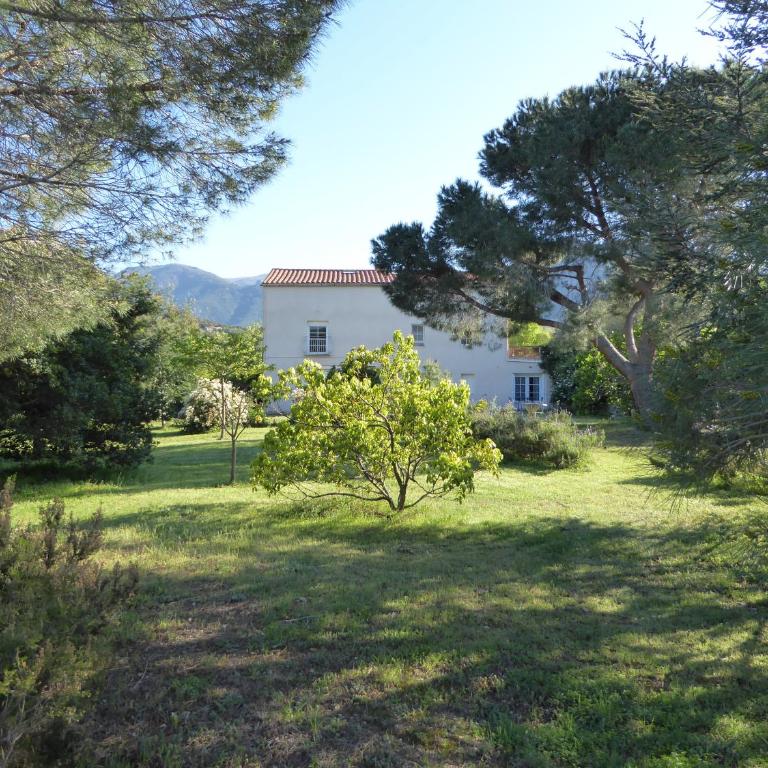 Mas Paret Gîte Massane - Studio - Vue sur Montagne - 6