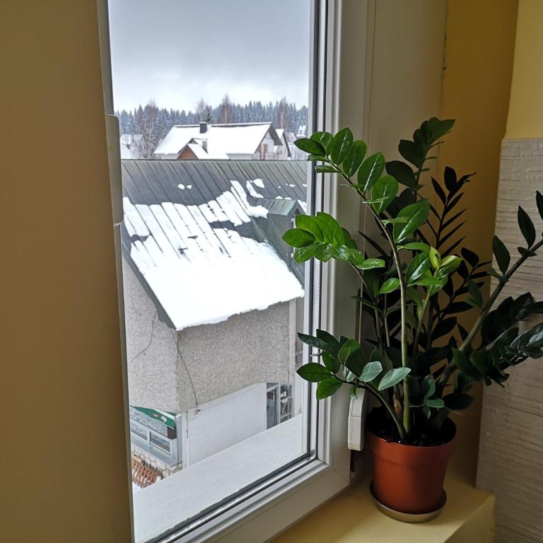 Apartman Glomazic - Apartman - 9