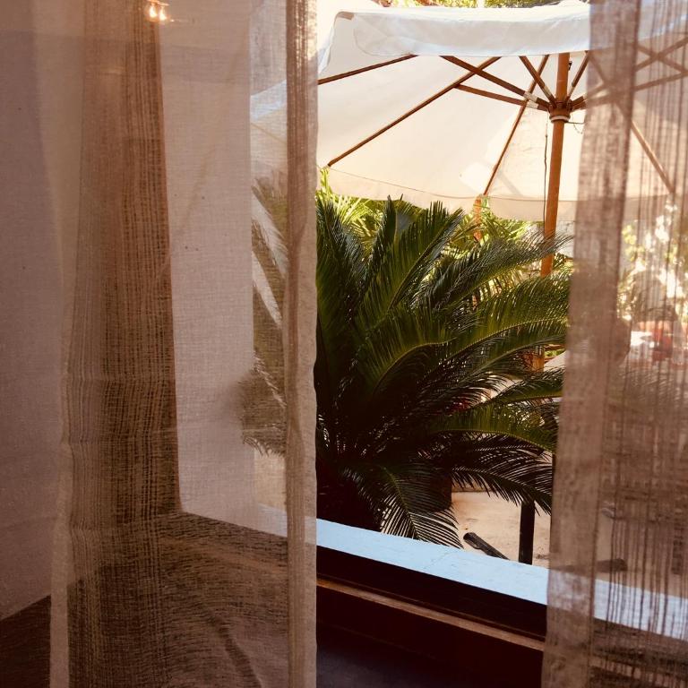 Palmera - Studio Apartment - 30