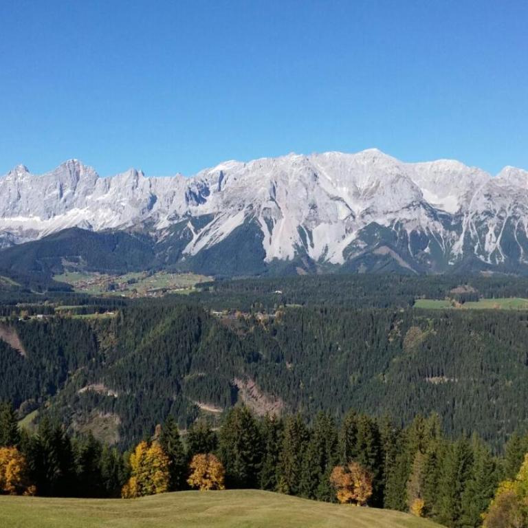 Ferienwohnungen Reinbacher - Primps - Apartment mit Blick auf die Berge - 4